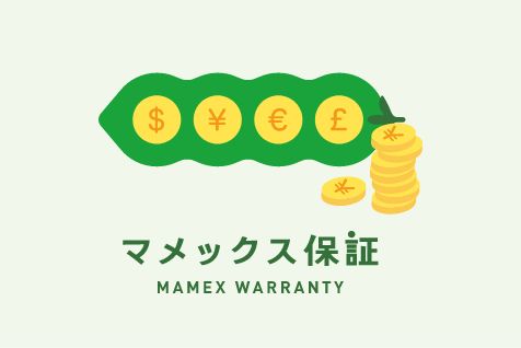 Mamex joint guarantor service
