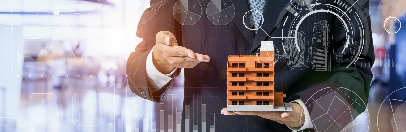 Consultation for foreign investors